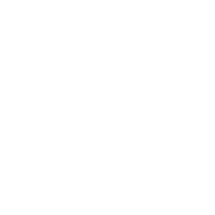 Energy Optimization Icon