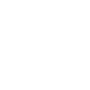 Full Integration Icon
