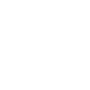 Proven Results Icon