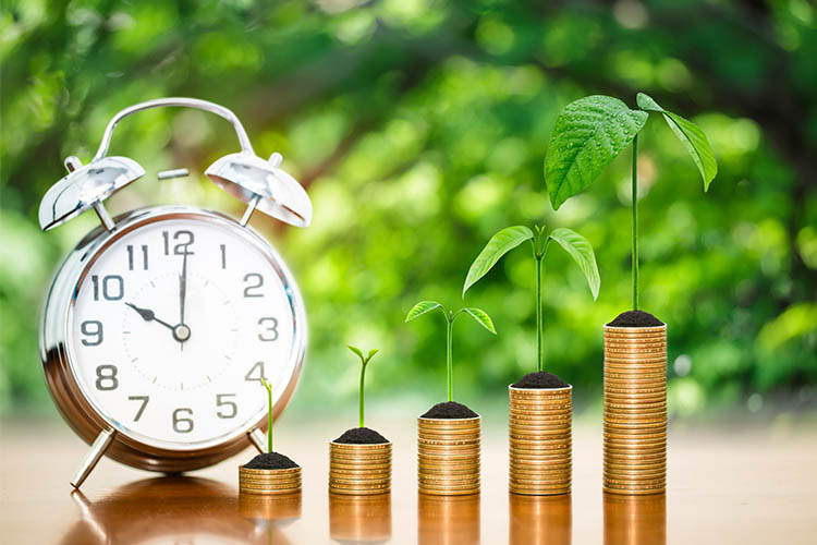 clock with plants growing on top of coins