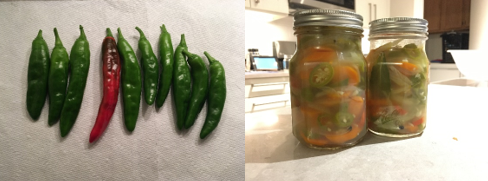 Desk Jalapenos 2.PNG