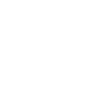 Proof of Value Icon