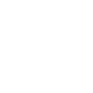 Incentive Expertise Icon