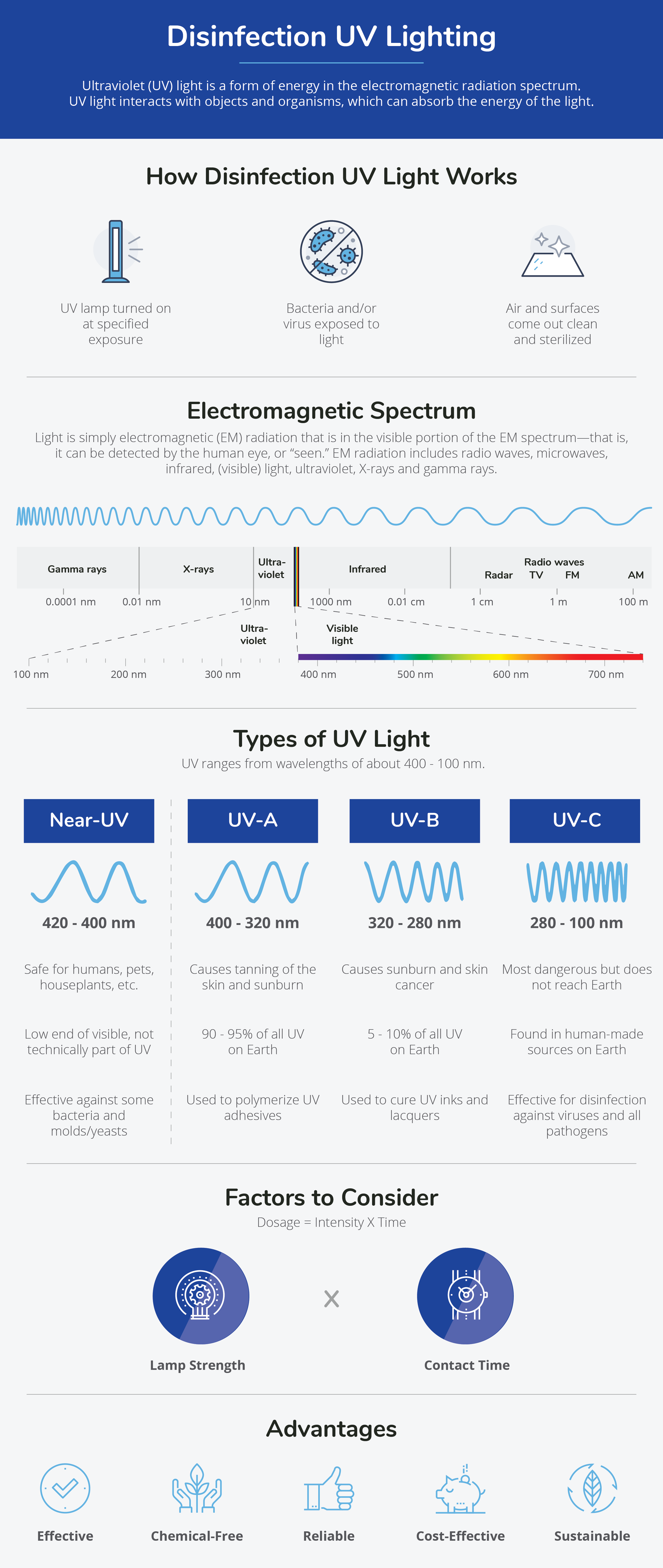 Disinfectant Lighting Infographic