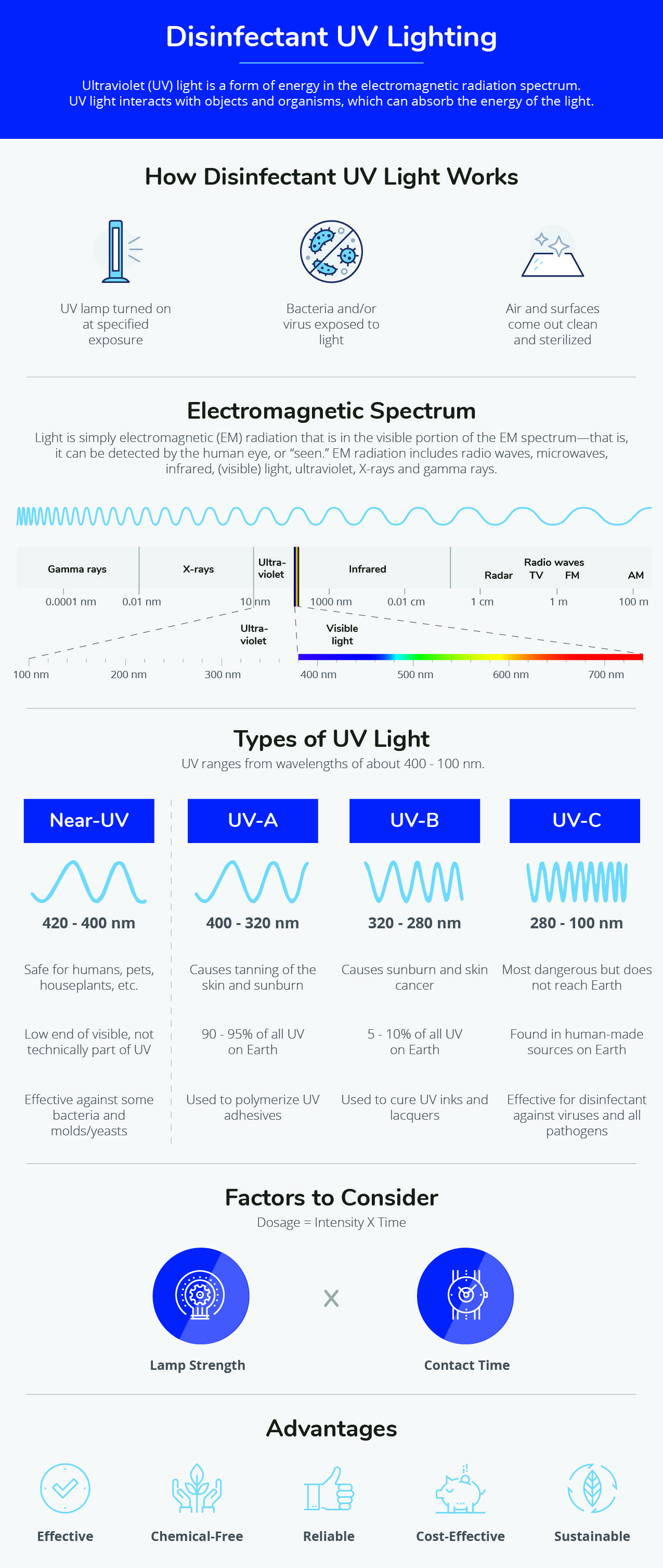 Disinfectant Lighting Infographic