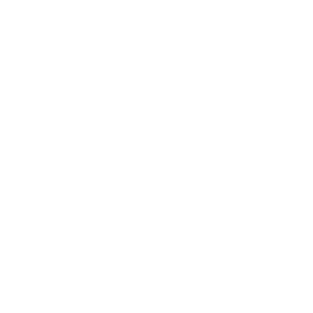 Transparency Icon