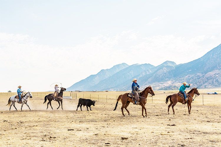 Cowboys riding horses in the country