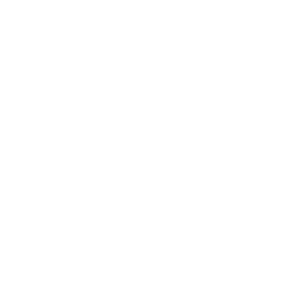 Turnkey Expertise Icon