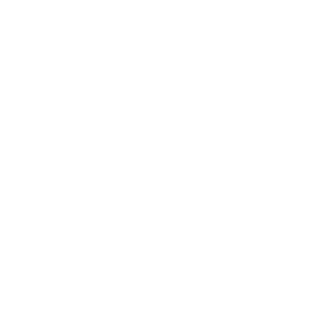 Best in Class Icon