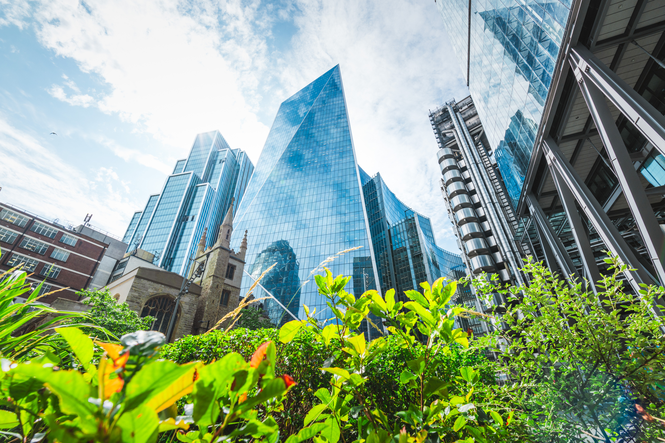 iStock-1580387922.jpg